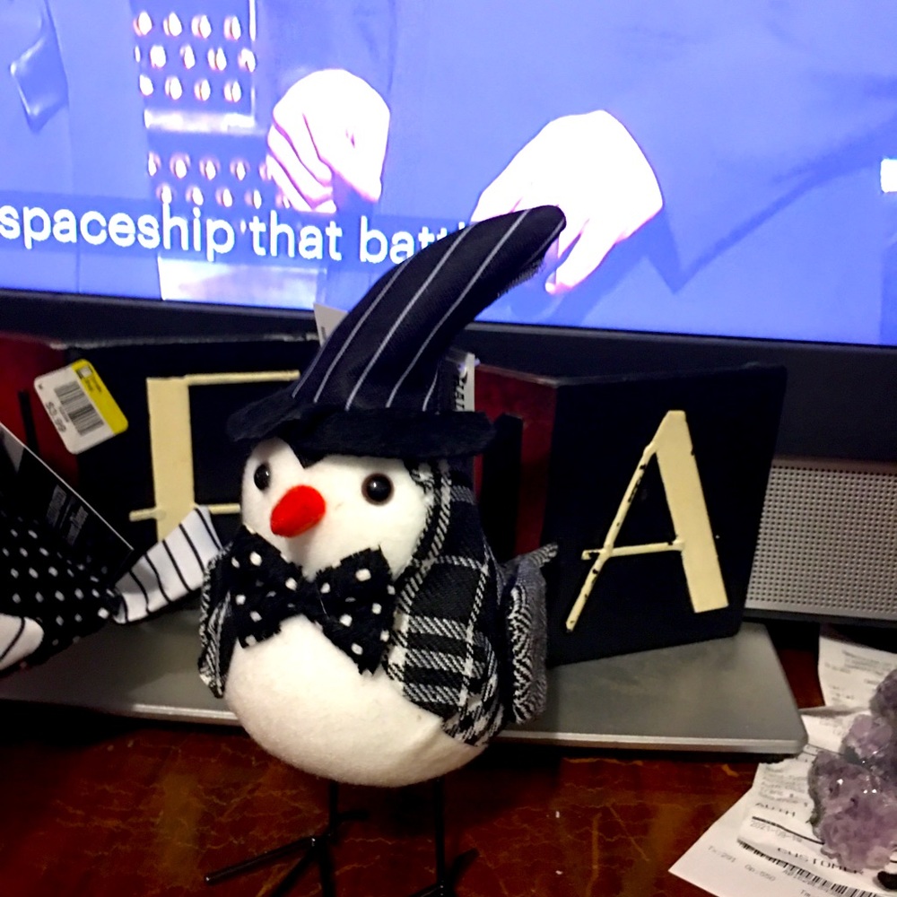 Halloween 🎃 Birdie with witch hat